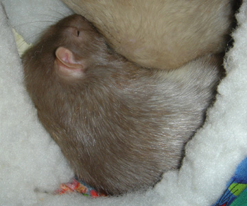 January2005