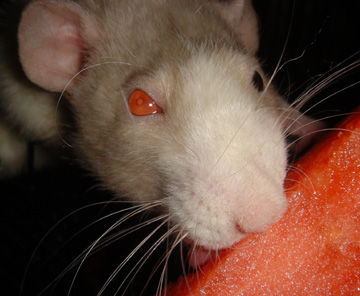 January 2005