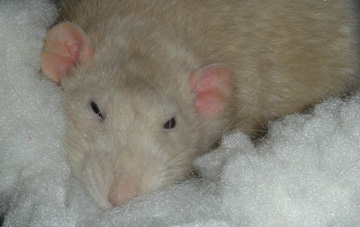 January 2005
