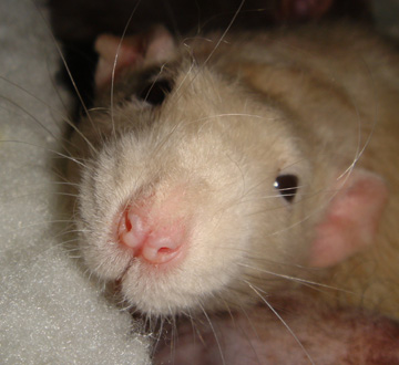 January 2005