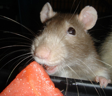 January2005