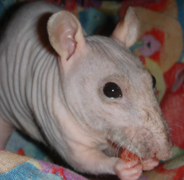 January 2005